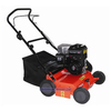 Dori SC45BS Petrol Lawn Scarifier