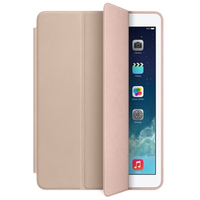 Apple Smart