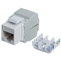 Intellinet Keystone Jack,  Cat6,  UTP,  Toolless,  White