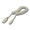 Lindy 31925 USB cable 2 m USB A Mini-USB B Transparent