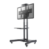 Neomounts by Newstar flat screen floor stand