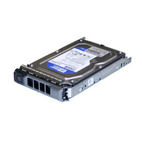 Origin Storage 500GB 7.2K P/Edge R/T x10 Series 3.5in Nearline SATA HS HD w/ Caddy