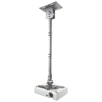 projector ceiling mount