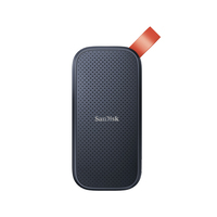 SanDisk Portable 1000 GB Blue