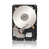 Seagate Constellation ST33000650NS hard disk drive