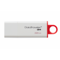 Kingston Technology DataTraveler G4 32GB