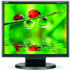 NEC LCD175M