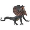 Safari Frilled Lizard