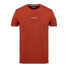 Santiago Cinnamon,  XL