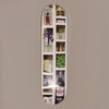 Isle Curiosities Series Deck Sylvain Tognelli 8 Inch