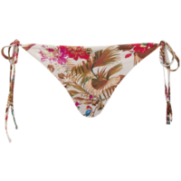Birds of Paradise Bikini Brief - Paradise