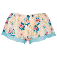 Felicity French Knicker - Aqua