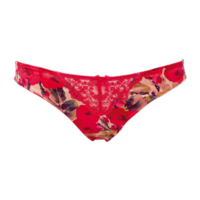 Oriental Bloom Thong - Oriental Bloom