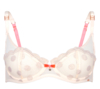 Pastel Princess Lace Non Padded Bra - Champagne Foil