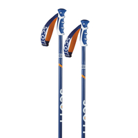 Scott Jib 2015 Ski Poles in Blue