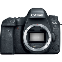 Canon EOS 6D Mark II Body Digital SLR Camera (Include 1 Extra Genuine Battery LP-E6N)