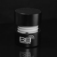 BASSBUDS BBZBLACK High performance portable bluetooth speaker,  Black