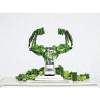 Sage SBL620BSS The Fresh & Furious 1.5L Blender