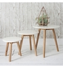 Bergen Nest of Tables (Table Colour: White)