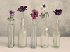Floral Row Printed Canvas