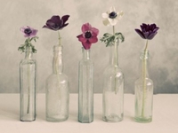 Floral Row Printed Canvas