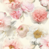 Flowers In Bloom Blush Wallpaper