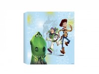 Toy Story Printed Canvas