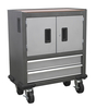 Sealey Mobile Cabinet 2 Drawer & 2 Door Cupboard