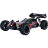 Tamco Raid 4WD 1:10 Brushless Buggy Combo
