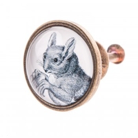 Squirrel Drawer Knob