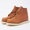 9875 Irish Setter 6