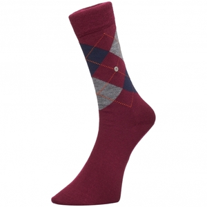 Edinburgh Socks