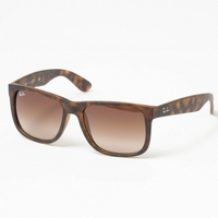 Justin Sunglasses - Brown Gradient Lenses