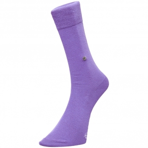 Plain Lord Socks