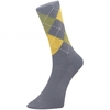 Preston Argyle Socks