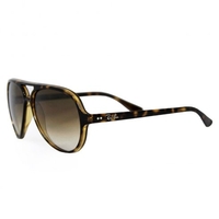 Ray-Ban Cats 5000 Tortoise Sunglasses RB4125 710/51