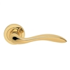 Carlisle Brass Giava Lever on Round Rose Polished Brass