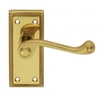 Carlisle Brass Polished Brass Georgian Lever on Latch Backplate