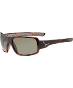 Cebe Changpa Shiny Tortoiseshell Sunglasses