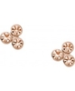 Fossil Ladies Earrings
