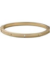 Fossil Ladies Iconic Gold Bangle