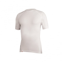 Transmission II S/S B. White