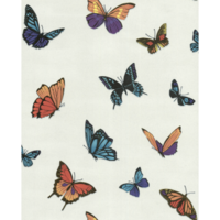 Graham & Brown Wallpaper Flutterby Pearl By Julien McDonald