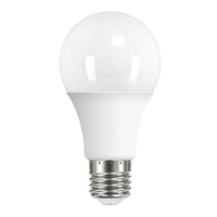 15 Watt Large GLS LED Edison Screw Light Bulb - Daylight White