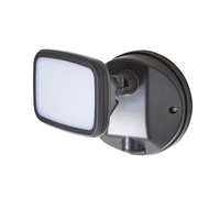 Alma Single 10 Watt LED Outdoor Flood Light - Dark Grey