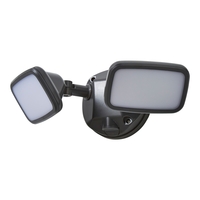 Alma Twin 20 Watt LED Outdoor Flood Light - Dark Grey