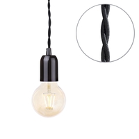 Black Braided Cable Kit with Gold Tint 4 Watt LED Filament Globe Light Bulb - Black