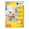 Avery afterBURNER Label System Software with Applicator 10 Inserts Ref AB1800 [24 Labels]