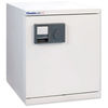 Chubb 100 Data Cabinet W644xD723xH723mm 195kg Ref CS190