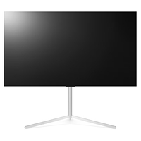 FS22GB OLED Gallery Floor Stand